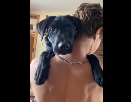My puppy ( and dick )